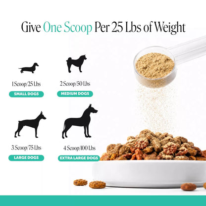 Pet Honesty Fresh Breath Dental Powder Mint Flavor for Dogs - 5.29Oz